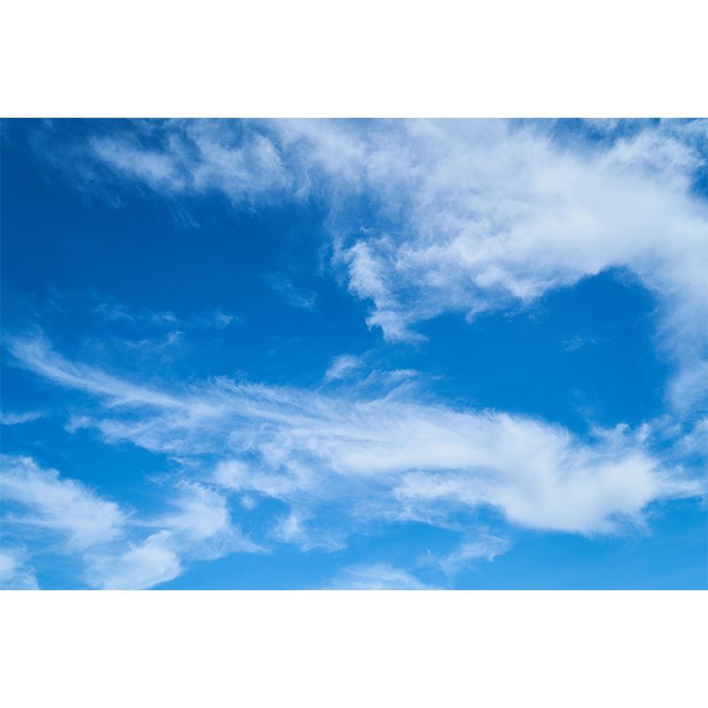 Horizontal Photography Sky Mural Stain Resistant Wall Art for Dining Room