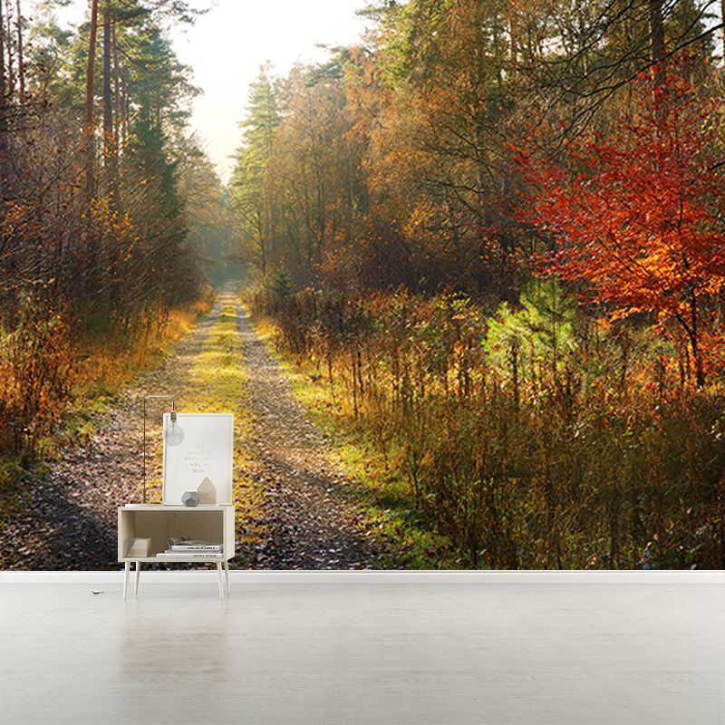 Customized Photography Space Extension Mural Eco-friendly for Home Decor