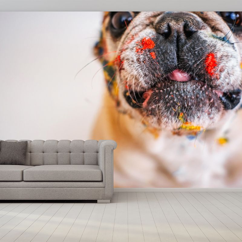 Horizontal Photography French Bulldog Mural Stain Resistant Wall Art for Bedroom