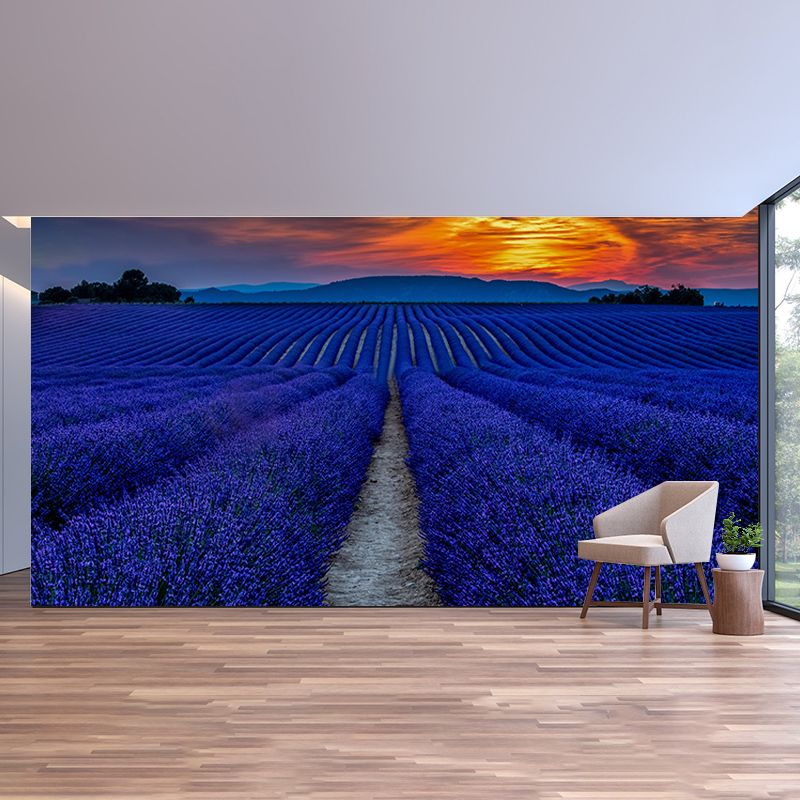 Beautiful Lavender Field Mural Wallpaper Photography Horizontal Wall Decor for Home