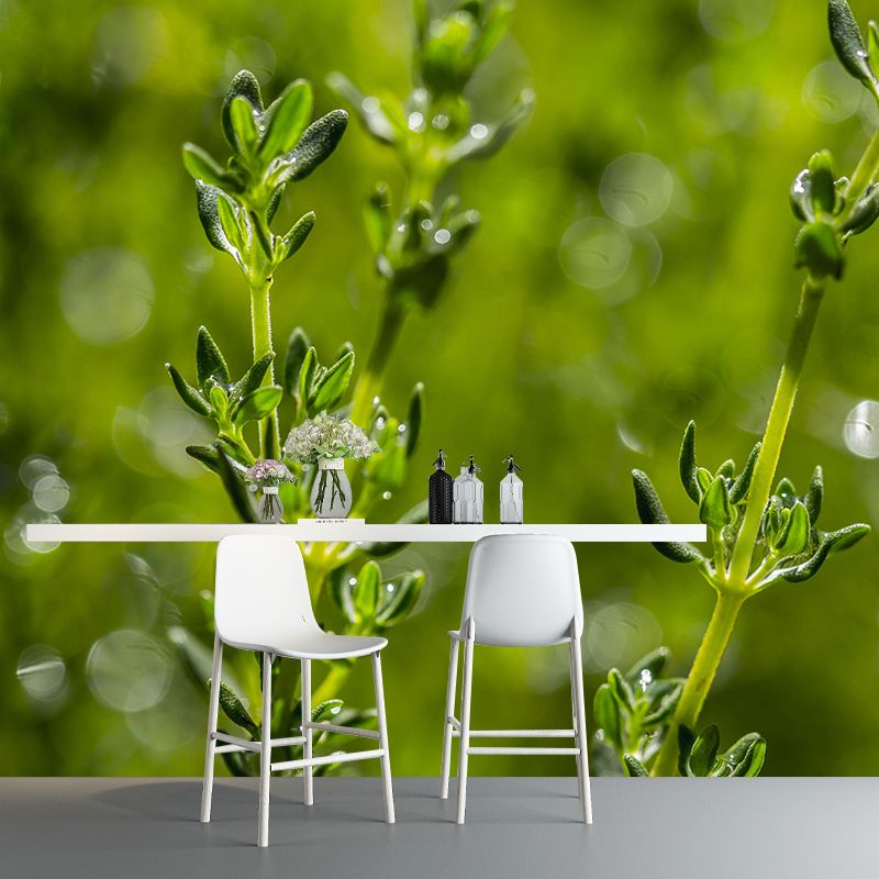Customized Modern Plants Mural Wallpaper with Thyme Pattern Mildew Resistant