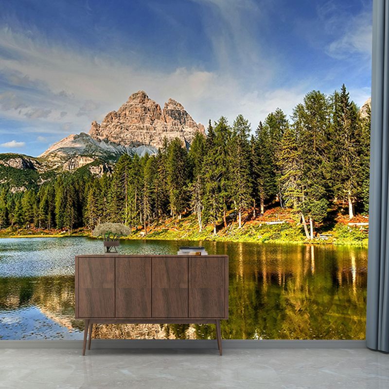 Forest Wallpaper Contemporary Photography Wall Mural Sitting Room Wall Covering