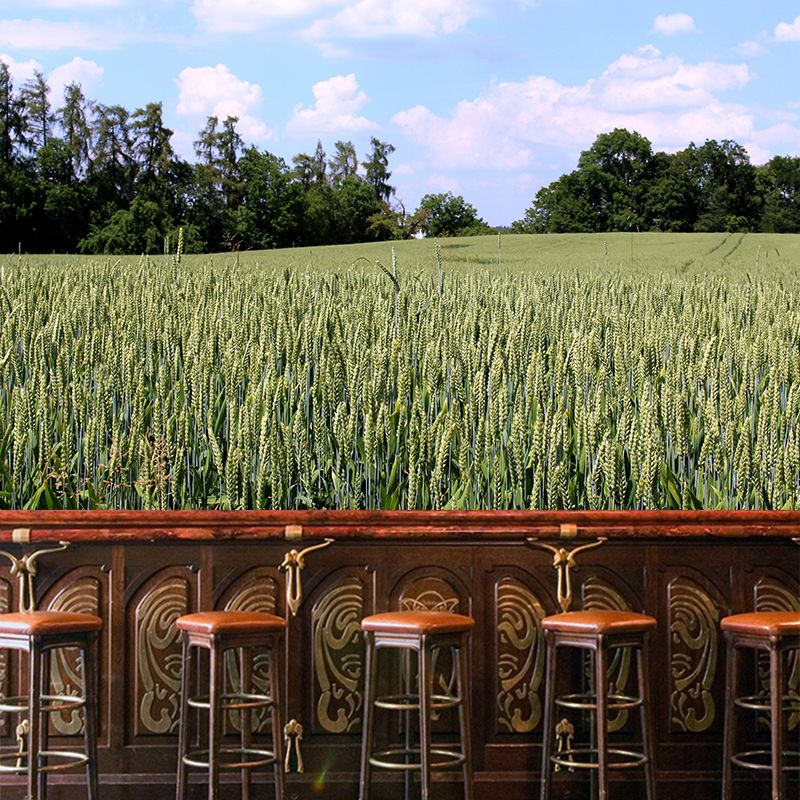 Photography Wheat Field Landscapes Mural Wall Decor Mildew Resistant for Decoration
