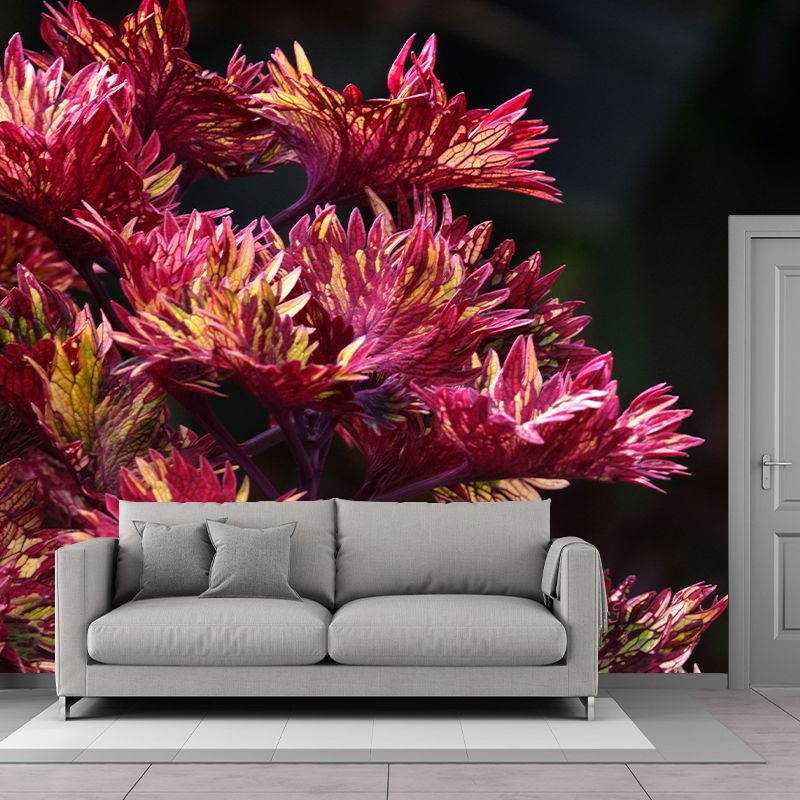 Coleus Plant Wall Mural Eco-friendly Customized Wall Covering for Sitting Room