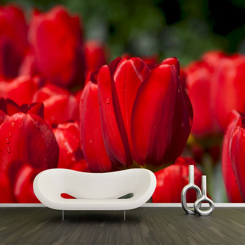 Blossoming Tulip Home Decor Personalized Size Wall Mural Decal for Girl's Bedroom