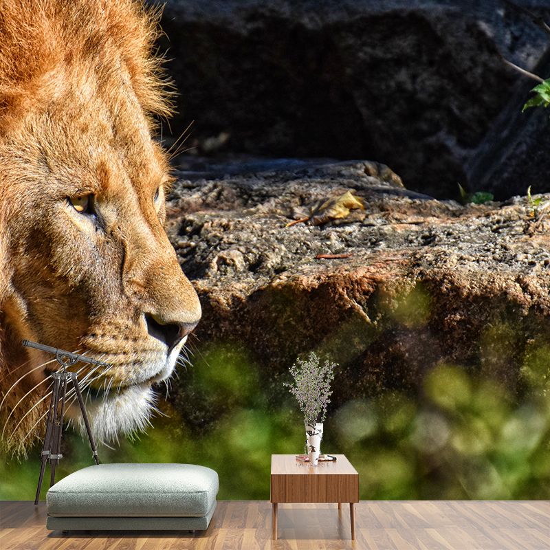 Handsome Lion Mural Wallpaper Stain Resistant Wall Covering for Living Room
