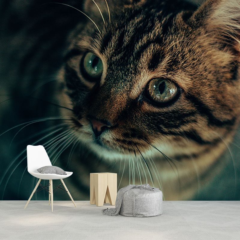 Cute Cats Mildew Resistant Mural Wallpaper Living Room Wall Mural