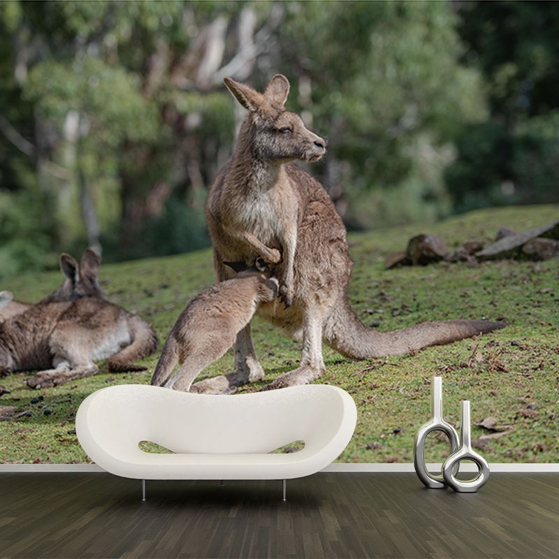 Customized Kangaroo Wall Mural Horizontal Photography for Sleeping Room Decoration