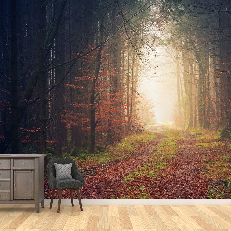 Modern Photography Forest Stain Resistant Wallpaper Living Room Wallpaper