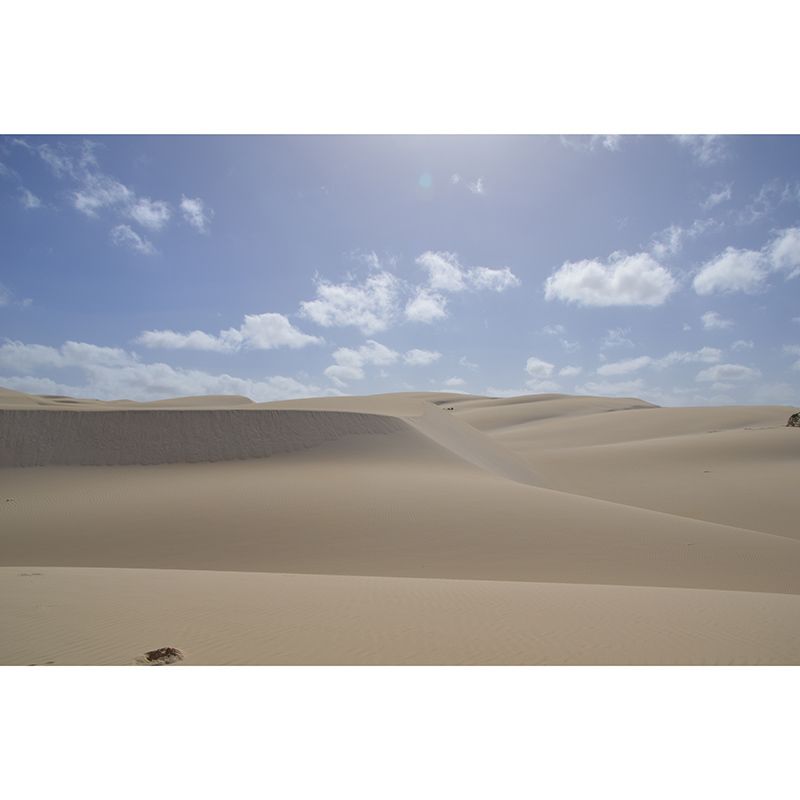 Desert Wall Mural Decal Sitting Room Wall Decor Water Resistant, Made to Measure