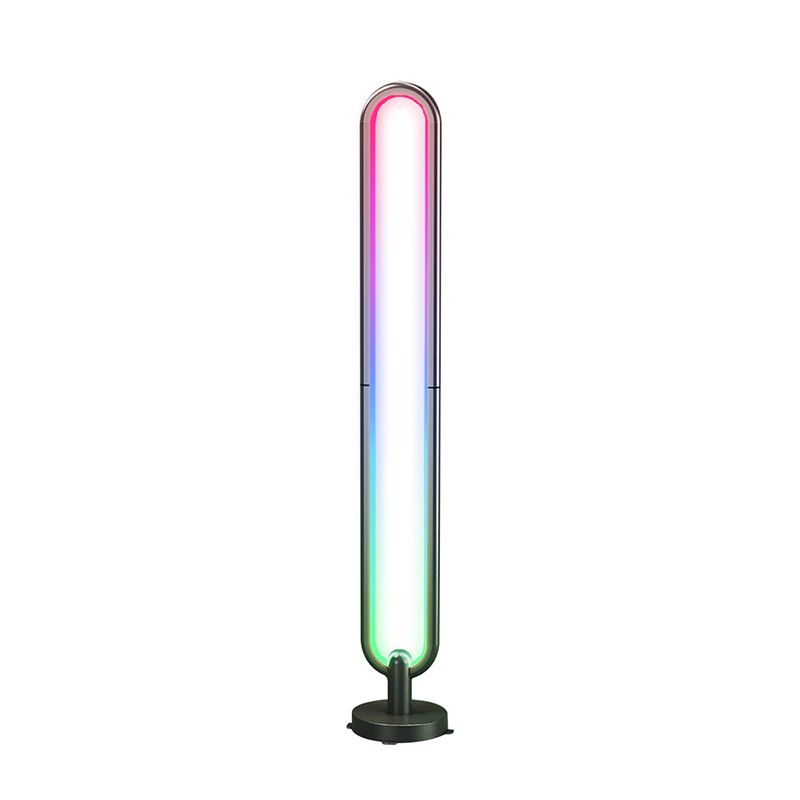 Oval Shaped Bluetooth Floor Light Modern Metal Bedroom RGB Standing Light