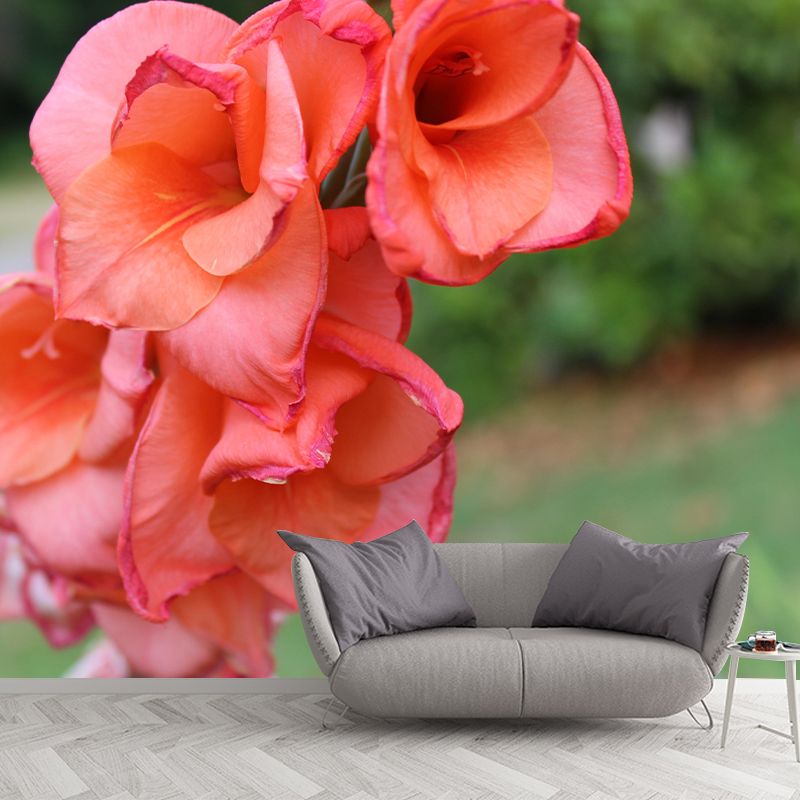 Gladiolus Mural Decal Modern Style Moisture Resistant for Sitting Room