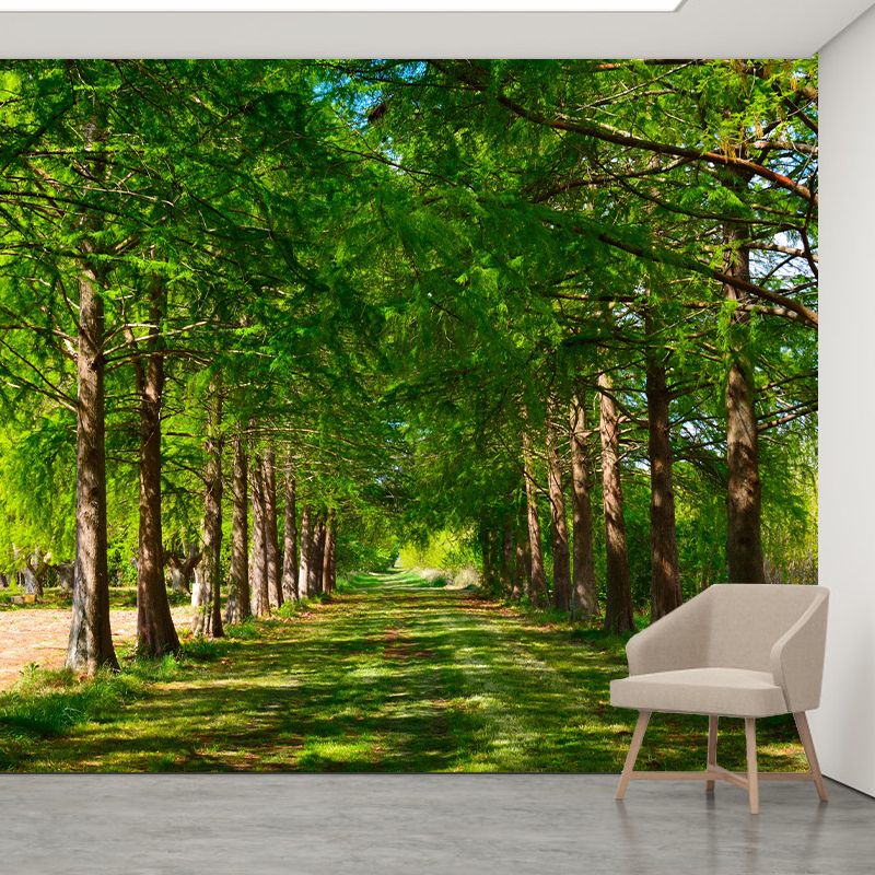 Contemporary Cypress-Trees Landscape Home Mural Mildew Resistant Wall Decor for Bedroom