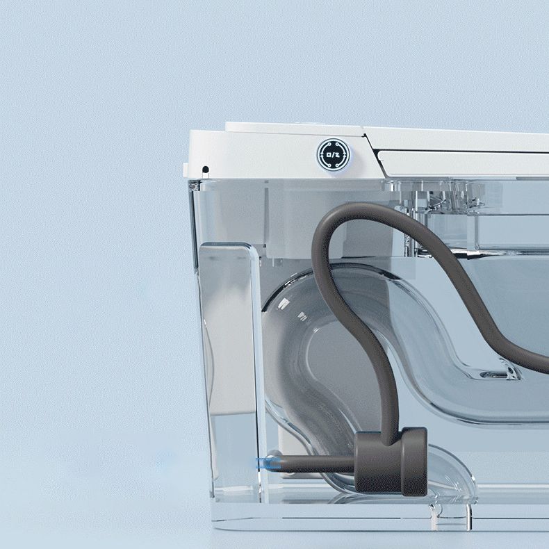 Modern Skirted Toilet Bowl Siphon Jet Toilet with Soft-Close Seat for Bathroom