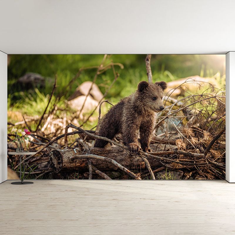 Wild Animal Contemporary Style Mural Horizontal Photography Living Room Wall Mural