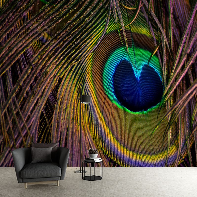 Peacock Feather Wall Mural Contemporary Home Decor Mildew Resistant for Room