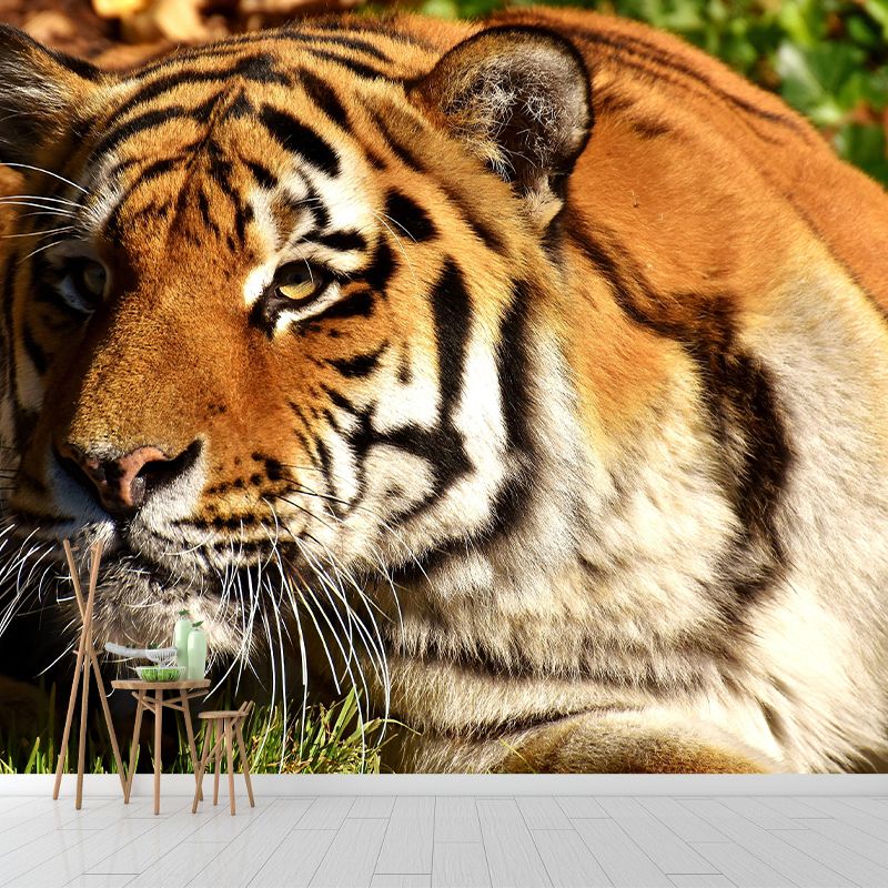 Photography Tropical Tiger Mural Wall Decor Eco-friendly Wall Art for Decoration