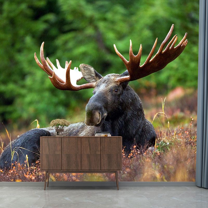 Modern Bucks Mural Wall Decor Mildew Resistant Living Room Wall Mural Wall Art