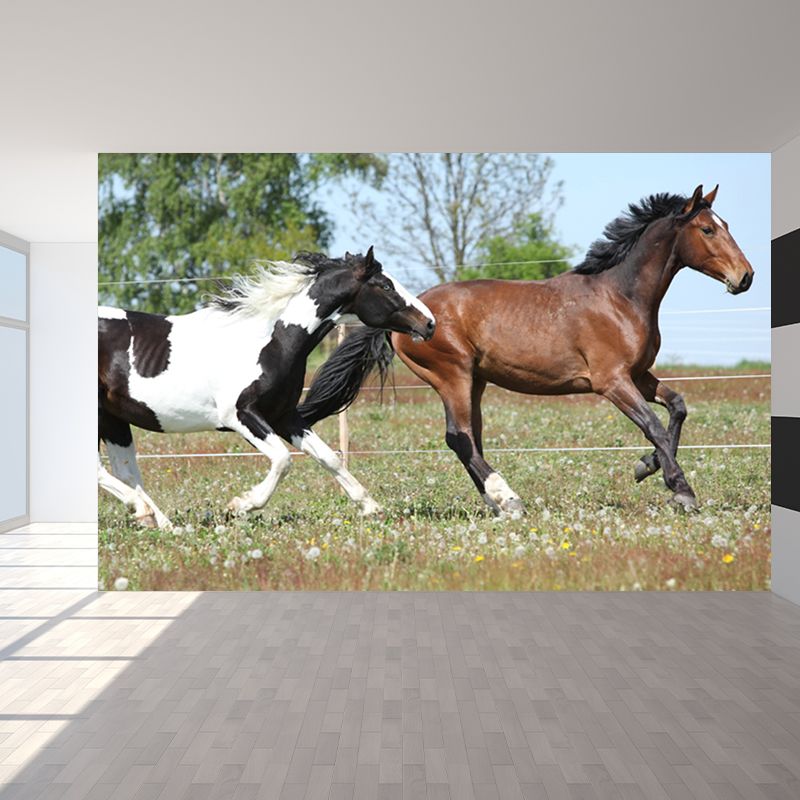 Big Horse Wall Paper Mural Stain Resistant Modern Family Room Wall Art, Custom Print