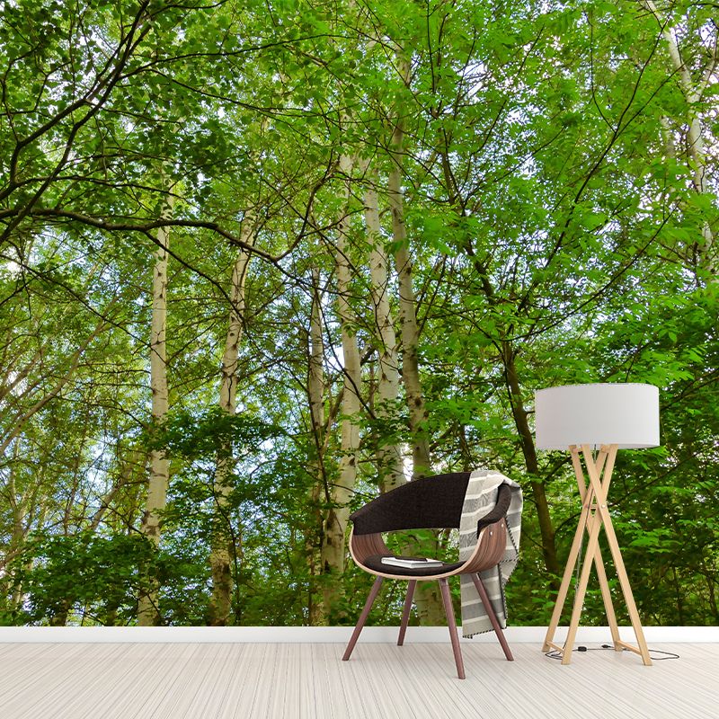 Minimalism Style Forest Removable Wall Mural for Sitting Room, Waterproofing