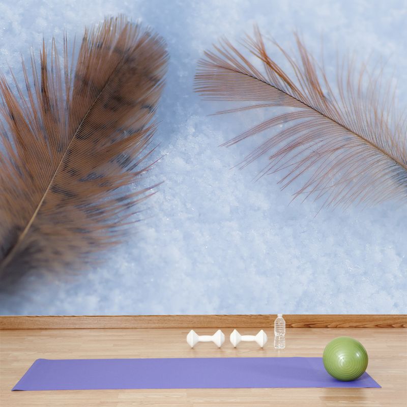 Light Plumage Mural Decal for Girls Bedroom, Waterproofing, Personalised