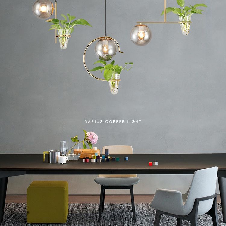 1 Light Hydroponics Botany Pendant Light moderne moderne Minimaliste en verre sphérique Salle de restauration