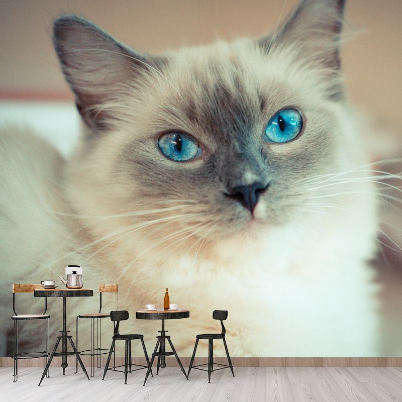 Lovely Cat Mural Wall Decor Living Room Mildew Resistant for Decoration