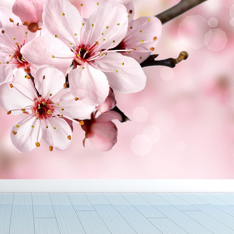 Cherry Blossom Wall Mural Contemporary Washable Living Room Wall Covering, Personalize