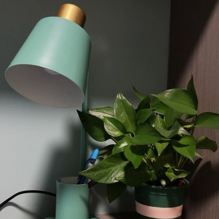 Macaron Tapered Study Lamp Metall 1-Licht