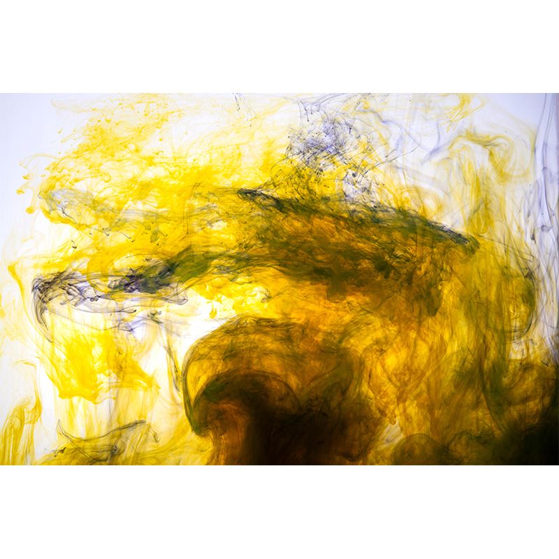 Customized Contemporary Mural Ink Mix Abstract Eco-friendly Wall Art for Home Decor