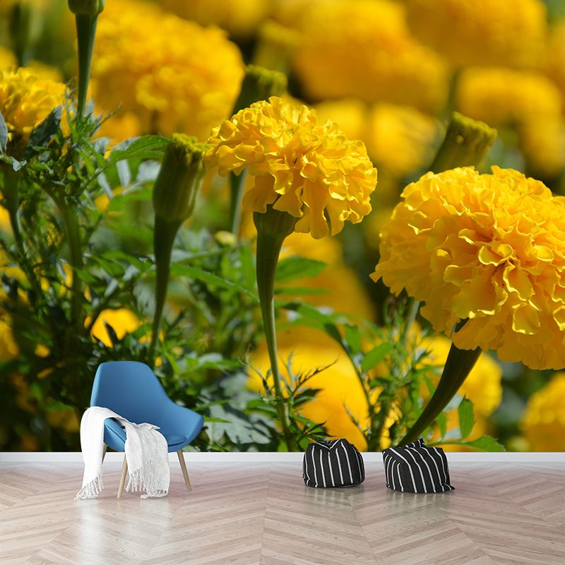 Modern Marigold Mural Wallpaper Stain Resistant Wall Covering for Living Room
