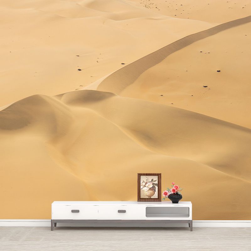 Contemporary Photography Style Desert Mural Wallpaper Mildew Resistant Wall Covering