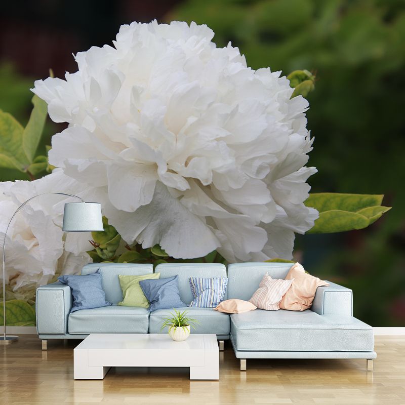 Peony Murals Contemporary Washable Girls' Bedroom Wall Decor, Personalized Size Available