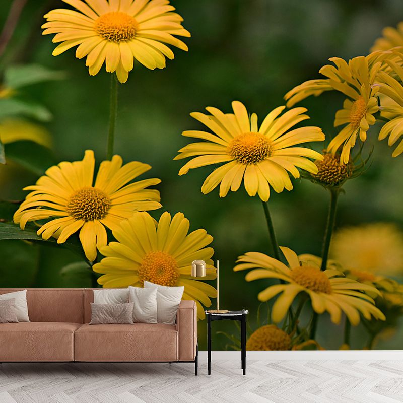 Customized Blooming Wildflowers Mural Wallpaper Contemporary for Guest Room Decor