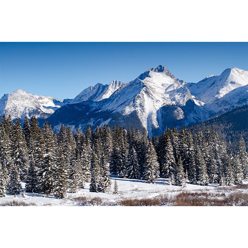 Winter Mountain Pine Trees Mural Modern Style Non-Woven Wall Decor in Blue-White