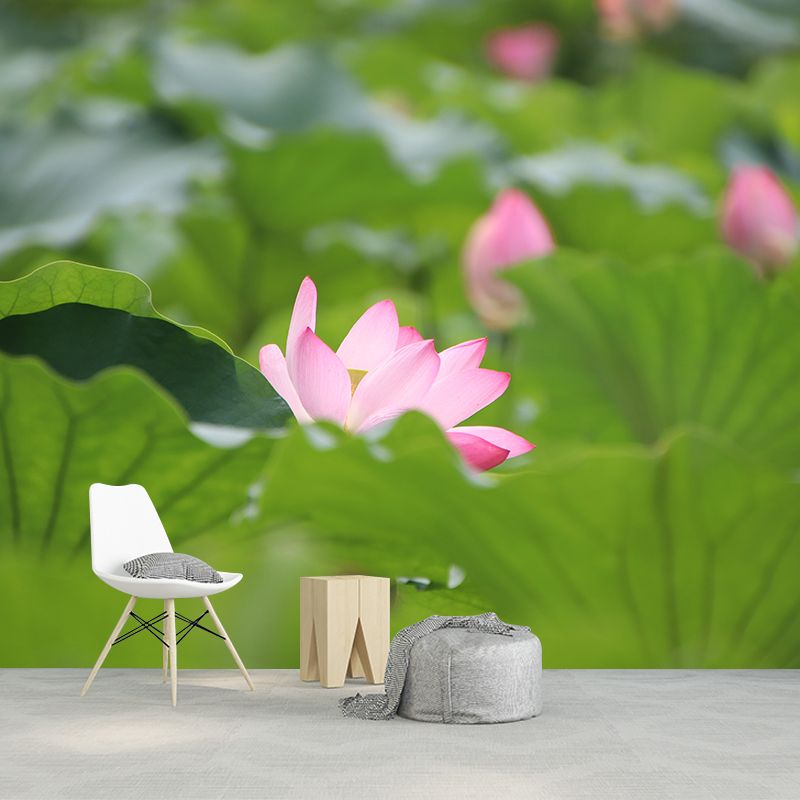 Pure Lotus Mural Wallpaper in Pink Bedroom Decorative Wall Covering, Custom-Printed