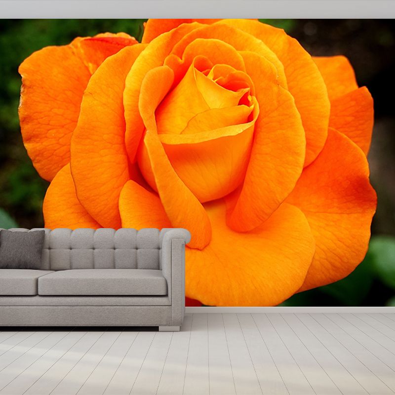 Roses Modern Style Mural Wallpaper Environment Friendly Bedroom Wall Mural