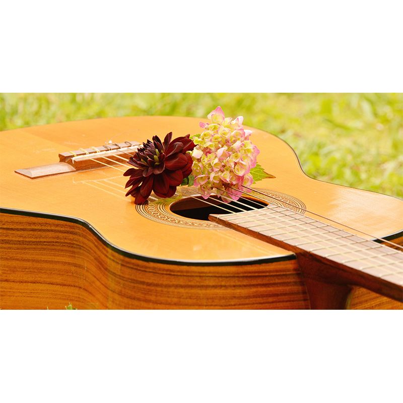 Hobby Guitar Mural Wallpaper Contemporary Mildew Resistant Wall Covering for Home Decor