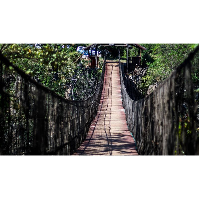 Environment Friendly Mural Wallpaper Wooden Bridge Photography Bedroom Wall Mural