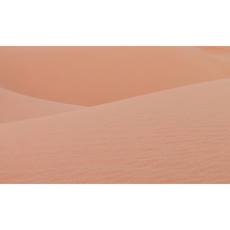 Dry Desert Wall Mural Decal for Reading Room, Personalized Size Available