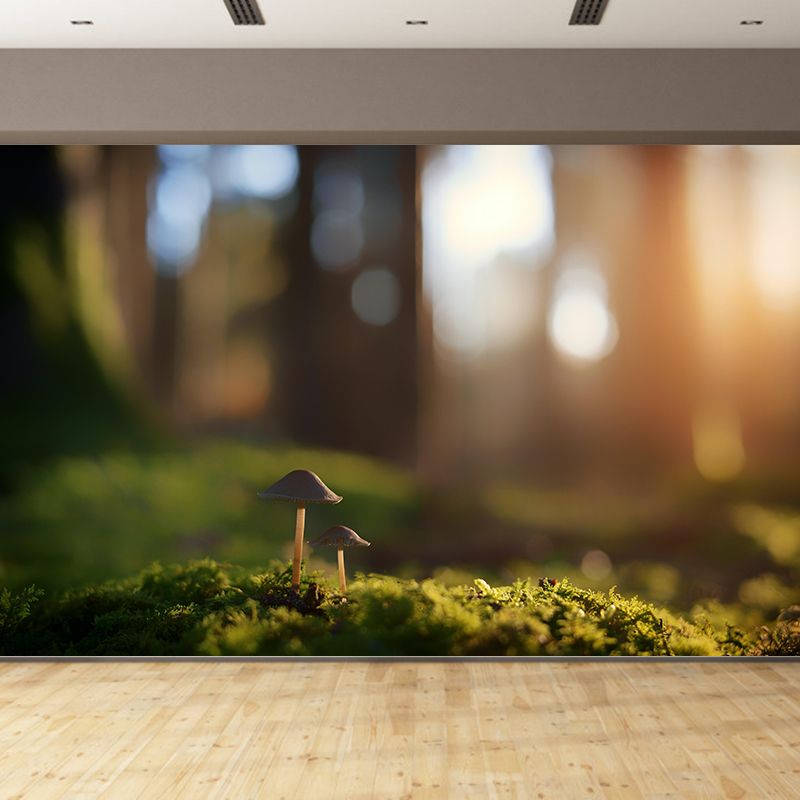 Mushroom Plant Modernist Wall Mural Decal Photography Stain Resistant for Living Room