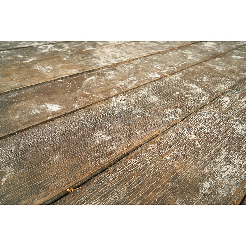 Wood Grain Mural 3D Mildew Resistant Decorative Room Wall Mural