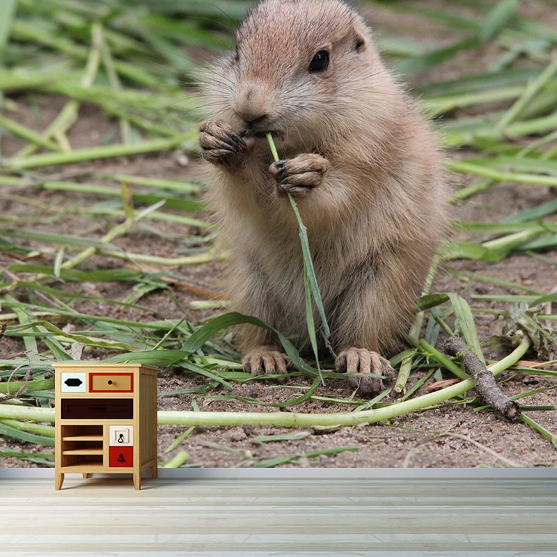 Customized Contemporary Prairie-Dog Mural Mildew Resistant for Sitting Room Bedroom