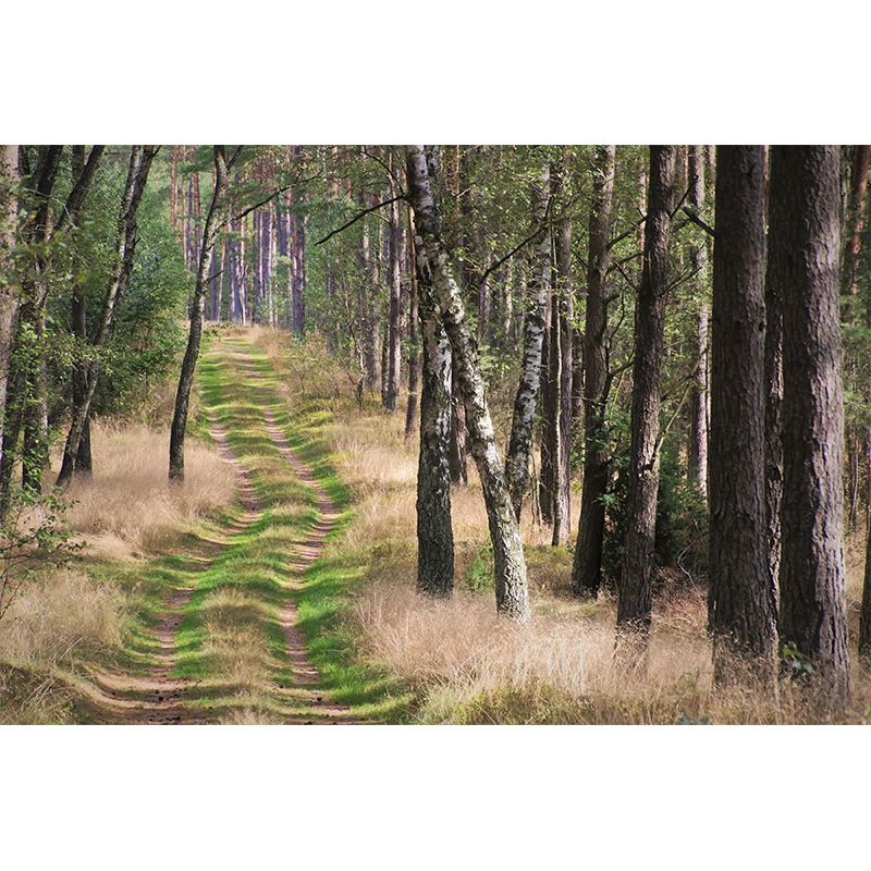 Customized Space Extension Wall Mural Wallpaper Photography Mildew Resistant for Room