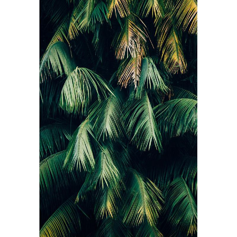 Huge Leaves Pattern Mural for Bathroom Botanical Wall Art in Green, Moisture Resistant