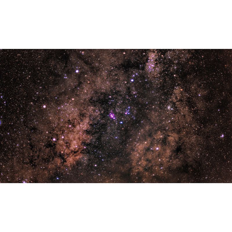 Environmental Photography Mural Wallpaper Cosmos Indoor Wall Mural
