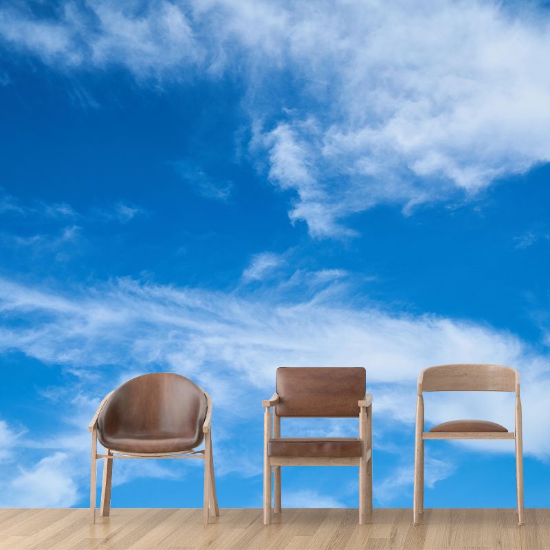 Horizontal Photography Sky Mural Stain Resistant Wall Art for Dining Room