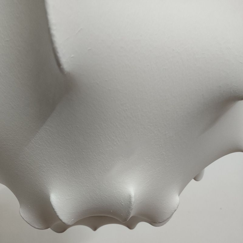 Silkworm irrégulier Creative Hanging Light 1-Light Contemporary Simplicity Style Dining Room Pendant Lampe en blanc