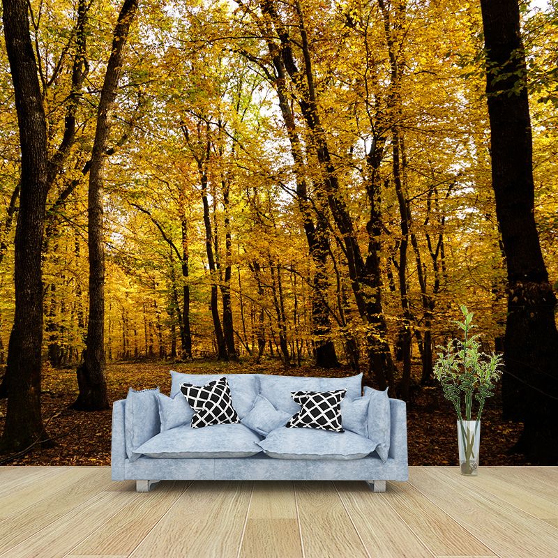 Forest Trees Mural Wallpaper, Stain Resistant Wall Decor for Kitchen Dining Room