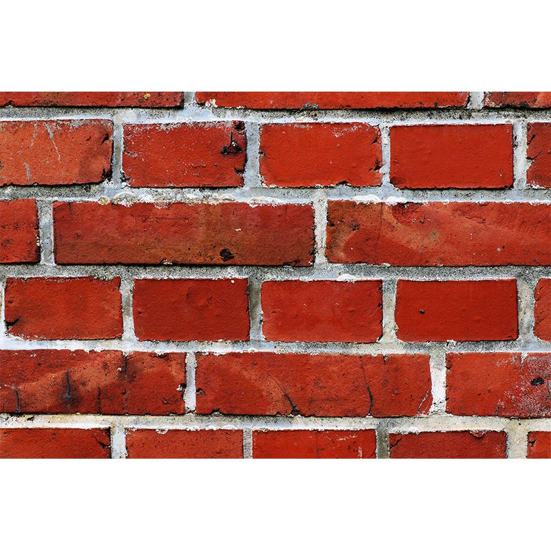 Countryside Style Brick Wall Covering Living Room Home Decor, Customized Size